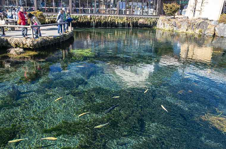 山中湖付近にある忍野八海