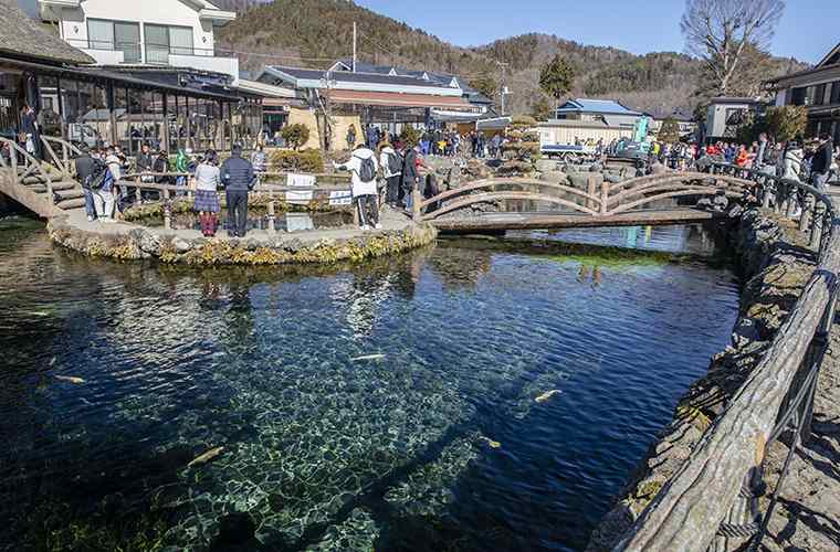 山中湖　忍野八海