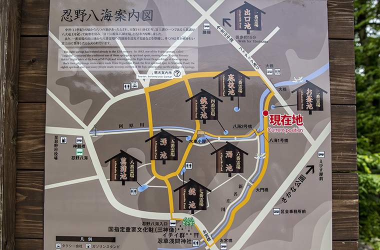 山中湖　忍野八海