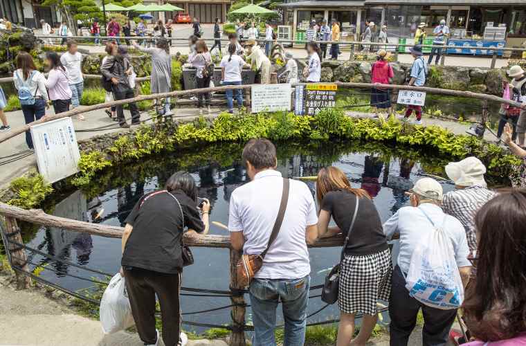 忍野八海　湧水口　忍野八海池本