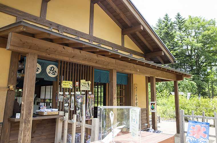 忍野しのびの里　ふじみ茶寮