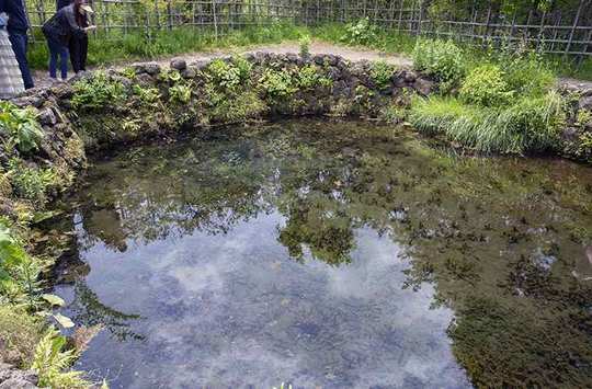 忍野八海　銚子池