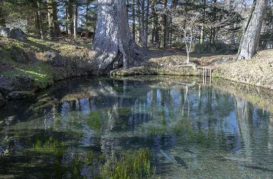 忍野八海　底抜池