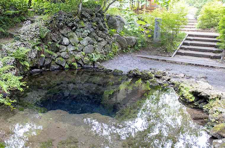 忍野八海　お釜池