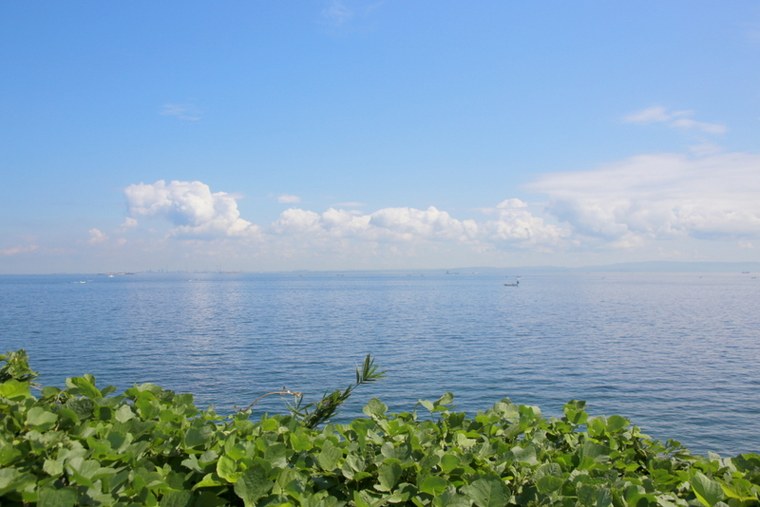 猿島の眺望抜群な広場