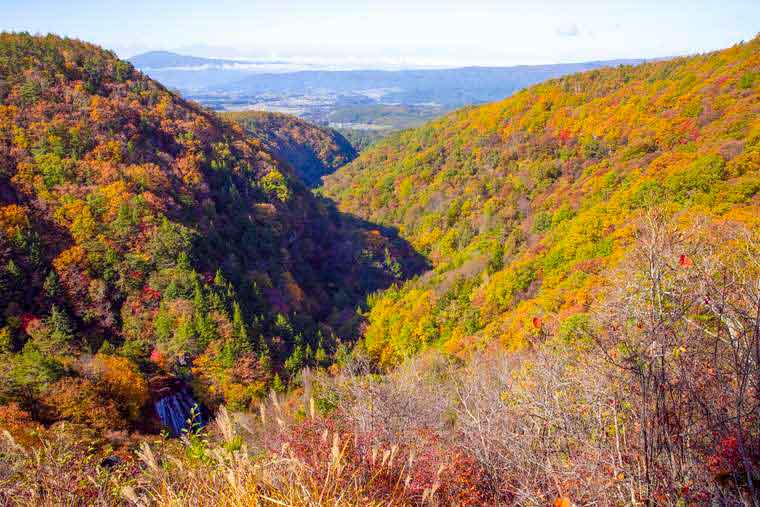 横谷渓谷　横谷観音展望台