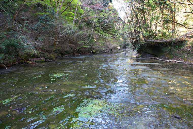 千葉 岩畳の上を浅く水が流れる清流