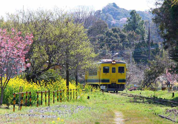 千葉 いすみ鉄道　ローカル列車