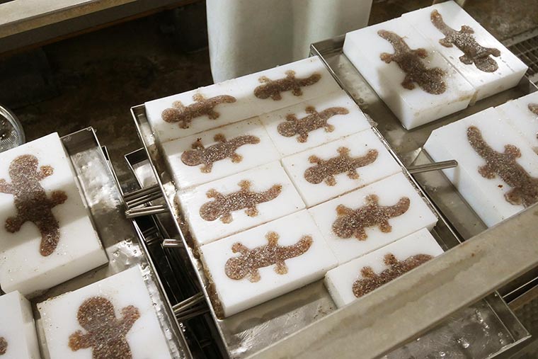 オオサンショウウオこんにゃく