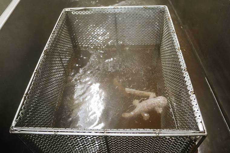 熱湯プールを泳ぐオオサンショウウオこんにゃく