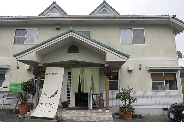 SAMESUN(サメサン)