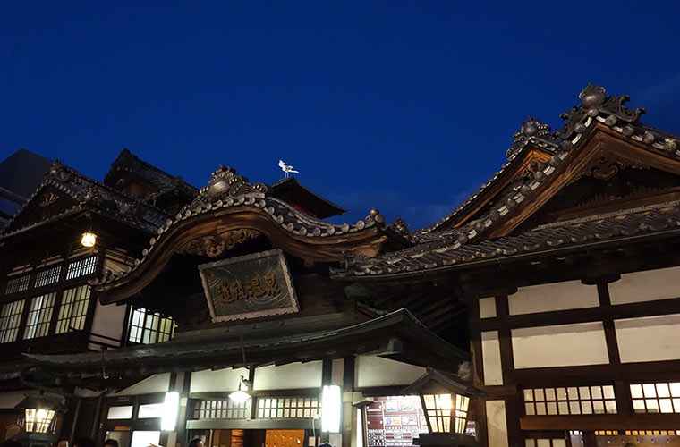 道後温泉本館には美しい白鷺の姿が