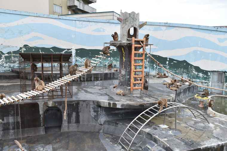 湯の川温泉　函館市熱帯植物園