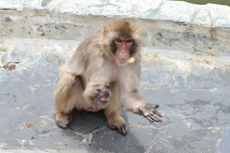 湯の川温泉　函館市熱帯植物園