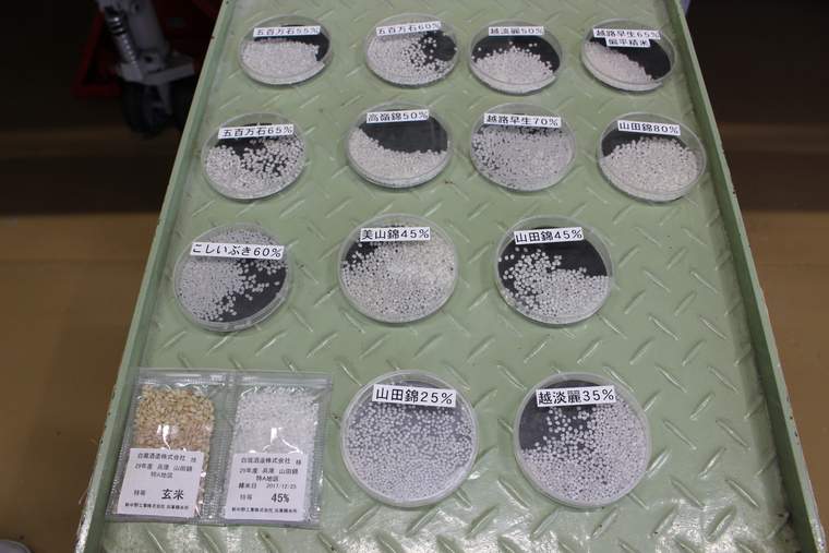 白瀧酒造の酒蔵見学