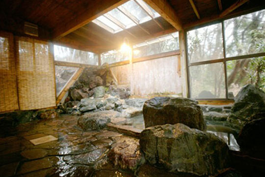 伊豆高原　癒しの薫りと美肌の湯　Ｄｏｇ　Ｐｅｎｓｉｏｎ　Ｒ６５