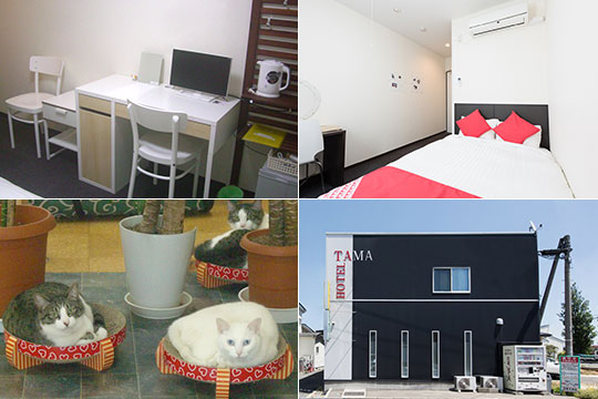 ＴＡＭＡ　ＨＯＴＥＬ