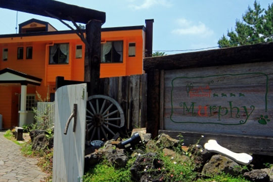 ペットと泊まれる貸切天然温泉の宿　マーフィ