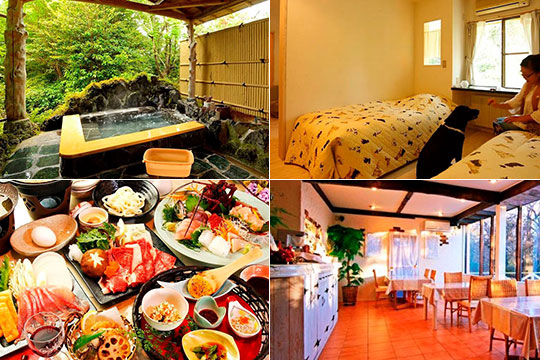 ペットと泊まれる貸切天然温泉の宿　マーフィ