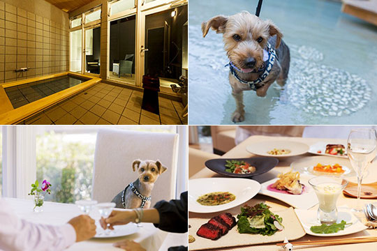 ＤＯＧ　ＳＰＡ　ＲＥＳＯＲＴ　アルトピアーノ