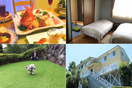 伊豆高原の小さな隠れペット宿　ブランニューデイ（ｂｒａｎｄ-ｎｅｗ　ｄａｙ）