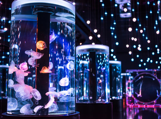 品川・蒲田・羽田空港