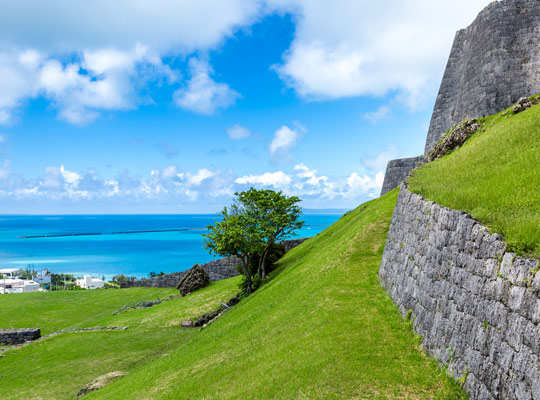 中部（宜野湾・北谷・沖縄・うるま・読谷）