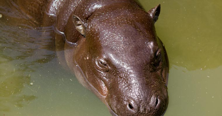 いしかわ動物園