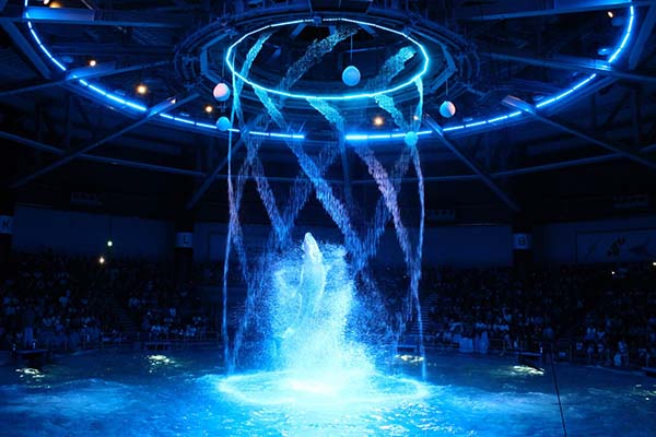 音、光、ウォーターカーテンによる演出