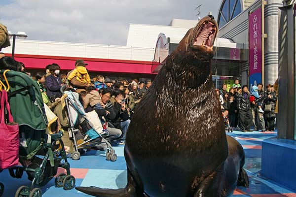 大きな動物まで、こんなに近くでふれあえる