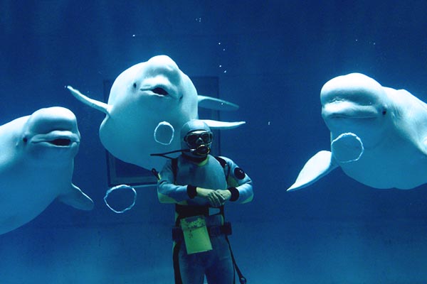 アクアスの目玉！「幸せのバブルリング」