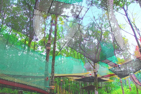 森の空中あそび parcabout（パカブ）　