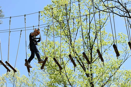 那須の森空中アスレチックNOZARU