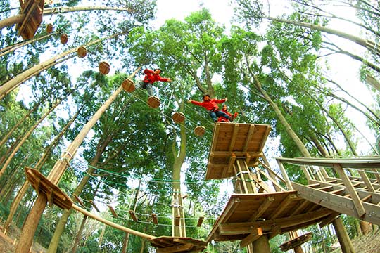 フォレストアドベンチャー・箱根