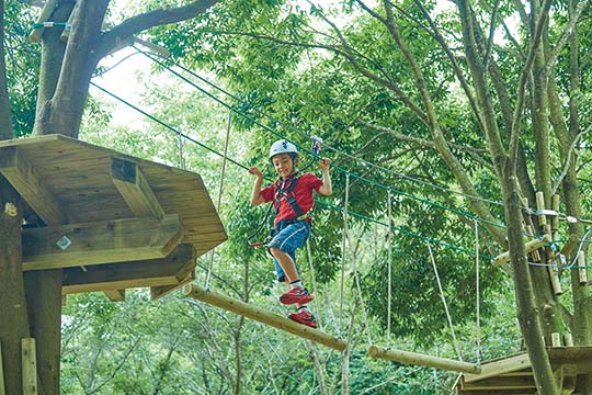 こもれび 森のイバライド