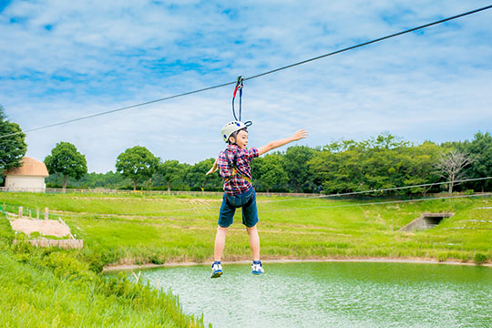 こもれび 森のイバライド