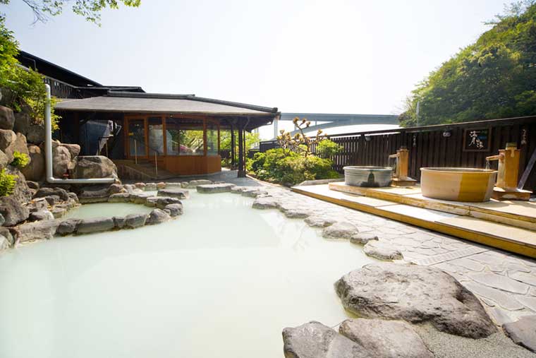 別府明礬温泉　御宿　ゑびす屋＜大分県＞