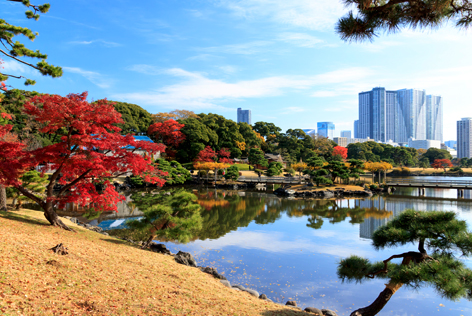 浜離宮恩賜庭園