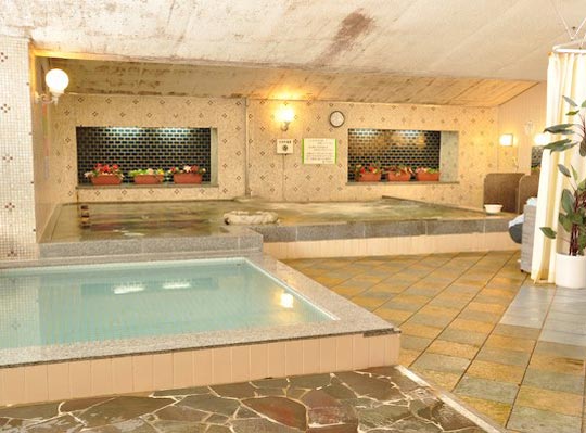 カプセル＆サウナ日本