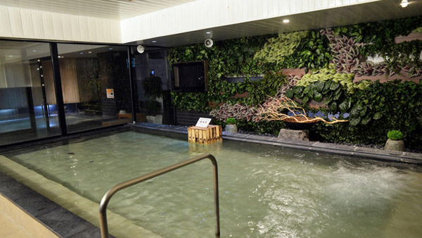 ＳＰＡ　ＨＯＴＥＬ　ソーレ（ＳＯＬＥ）すすきの