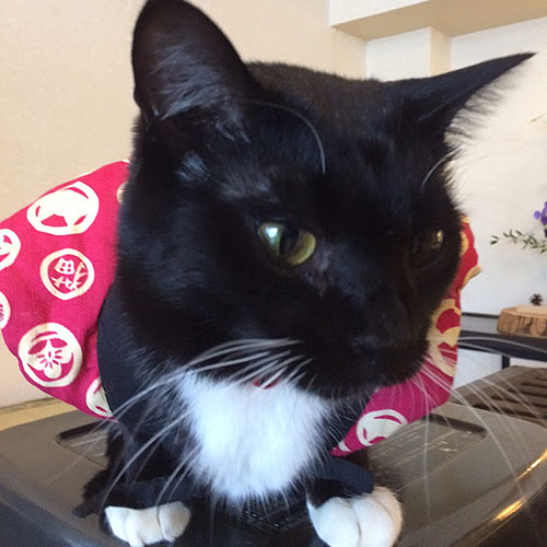 草津温泉　中村屋旅館＜群馬県＞ 「ヤマト」