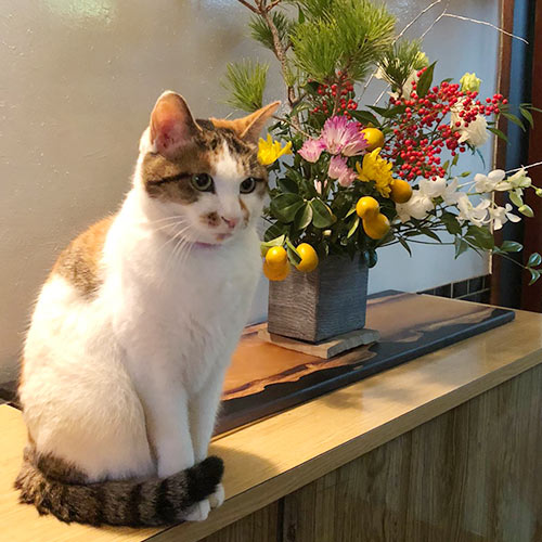 三幸旅館「なな」