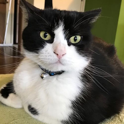 アカバナーイン「コタロー」