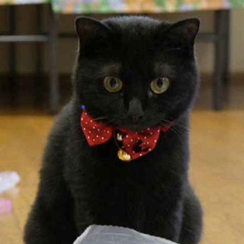 いちいの宿「ひぐま」