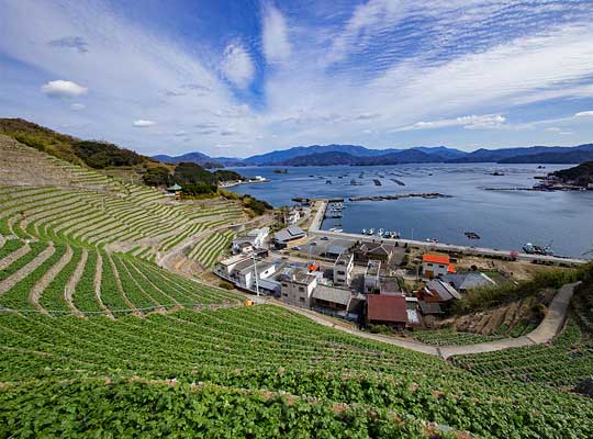 宇和島・八幡浜