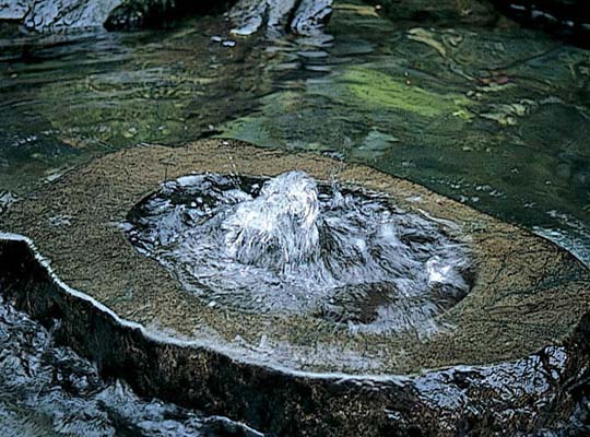 西条・新居浜・四国中央