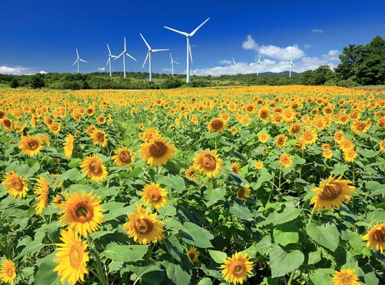 郡山・磐梯熱海