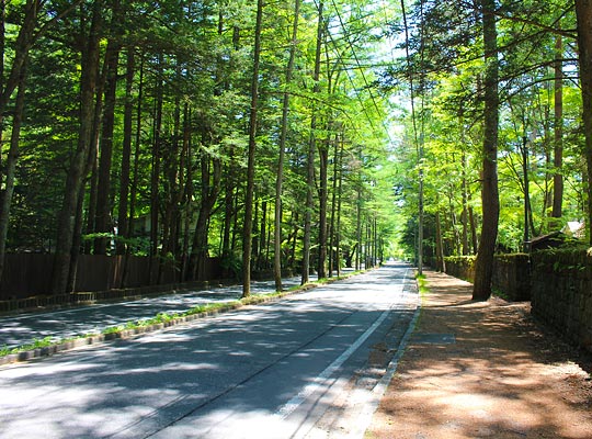 軽井沢・佐久・小諸