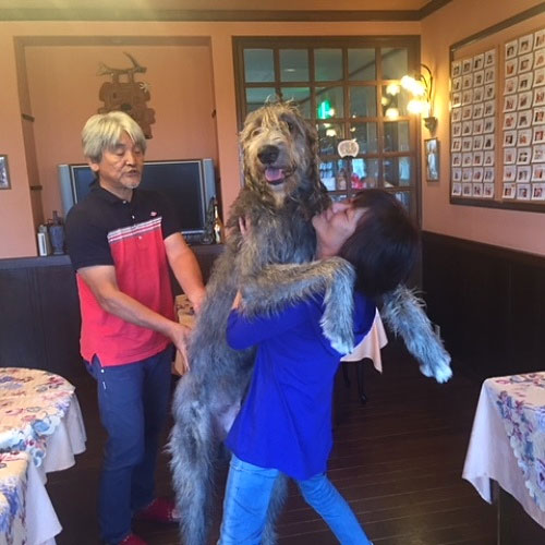 ルパン2世(通称ルーニー)