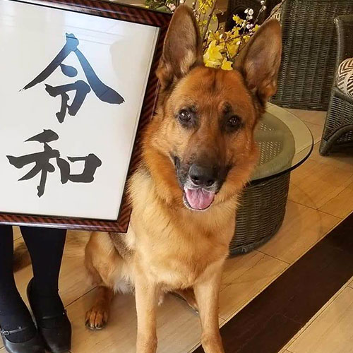 軽井沢　ホテルそよかぜ「春」